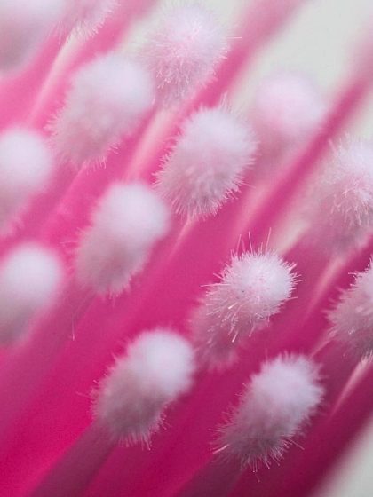 Micro brushes χωρίς χνούδι για εφαρμογή υγρών βλεφαρίδων